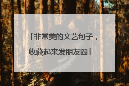 非常美的文艺句子，收藏起来发朋友圈