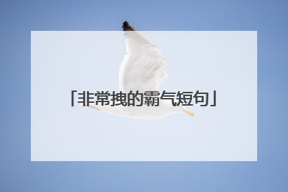 非常拽的霸气短句