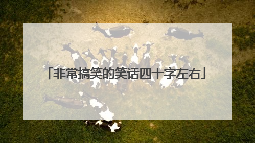 非常搞笑的笑话四十字左右