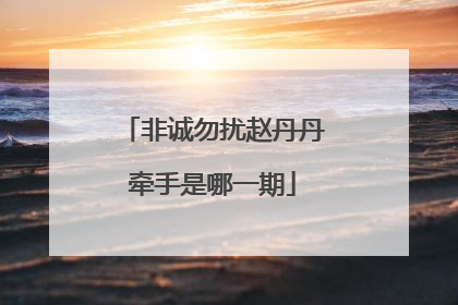非诚勿扰赵丹丹牵手是哪一期