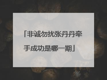 非诚勿扰张丹丹牵手成功是哪一期