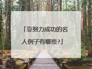 靠努力成功的名人例子有哪些?