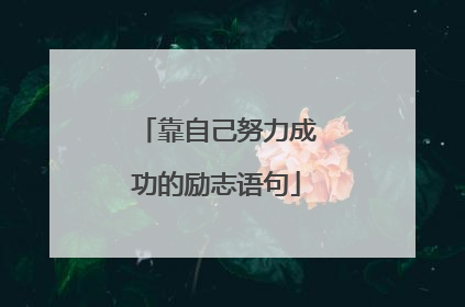靠自己努力成功的励志语句