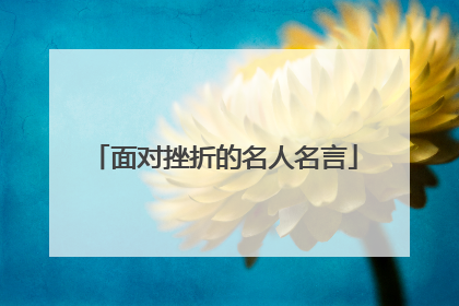面对挫折的名人名言