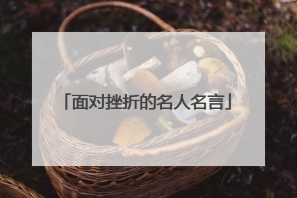 面对挫折的名人名言