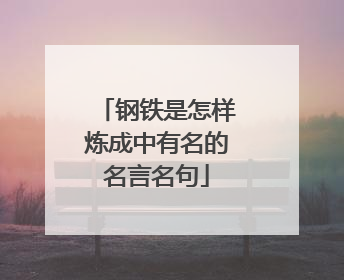 钢铁是怎样炼成中有名的名言名句
