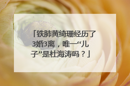 铁肺黄绮珊经历了3婚3离,唯一“儿子”是杜海涛吗?