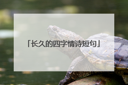 长久的四字情诗短句