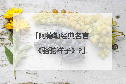 阿德勒经典名言《骆驼祥子》?