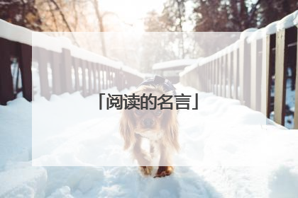 阅读的名言