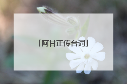 阿甘正传台词