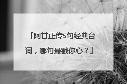 阿甘正传5句经典台词，哪句最戳你心？