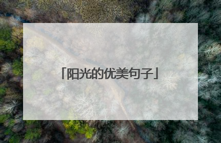 阳光的优美句子