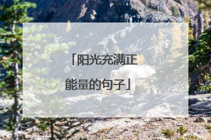 阳光充满正能量的句子