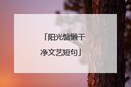 阳光慵懒干净文艺短句