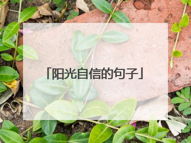 阳光自信的句子
