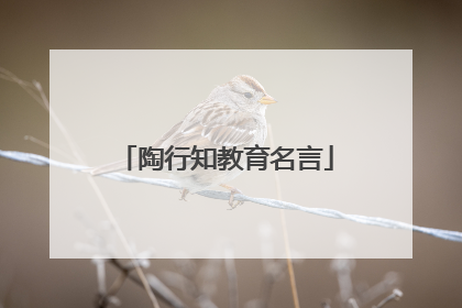 陶行知教育名言