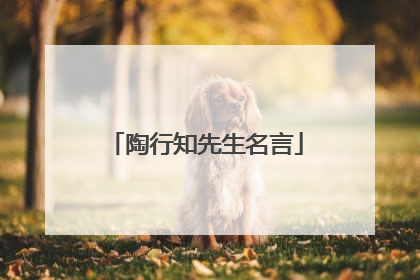 陶行知先生名言