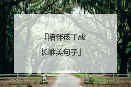 陪伴孩子成长唯美句子