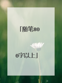 随笔800字以上