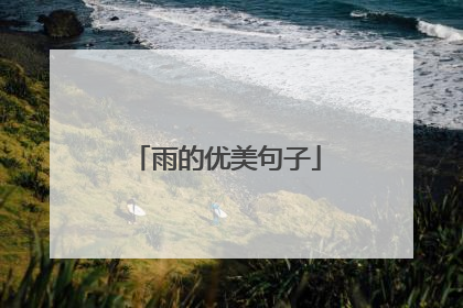 雨的优美句子