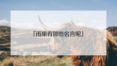 雨果有那些名言呢