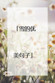雪的优美句子