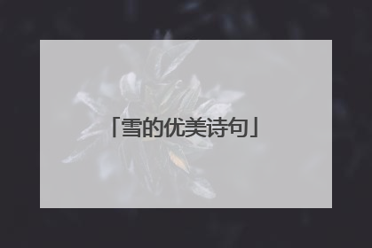 雪的优美诗句