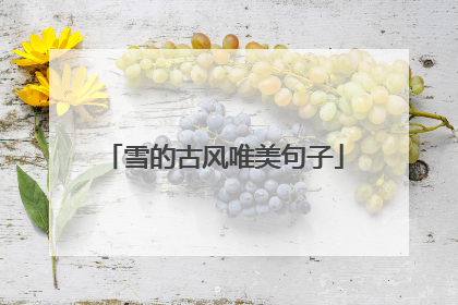 雪的古风唯美句子