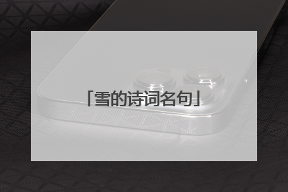 雪的诗词名句
