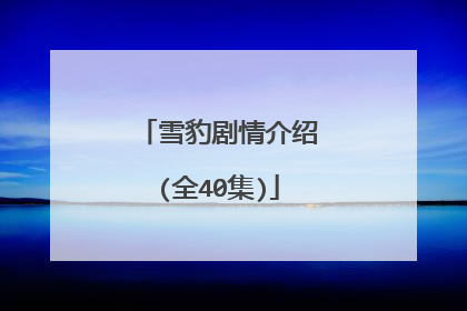 雪豹剧情介绍(全40集)