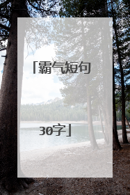 霸气短句30字