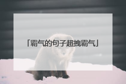 霸气的句子超拽霸气