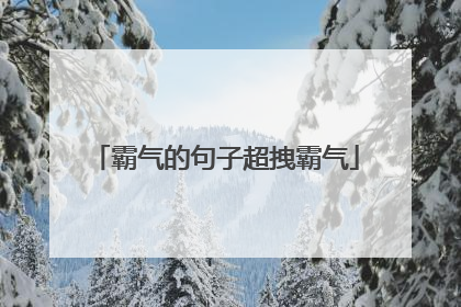 霸气的句子超拽霸气