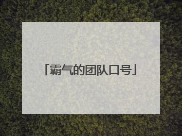 霸气的团队口号