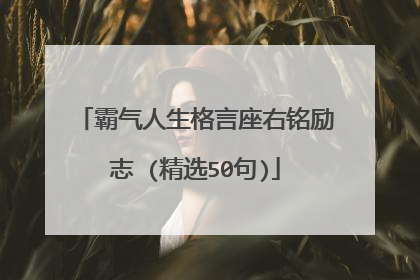 霸气人生格言座右铭励志 (精选50句)
