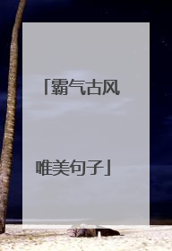 霸气古风唯美句子