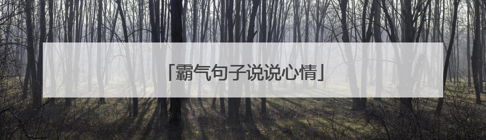 霸气句子说说心情
