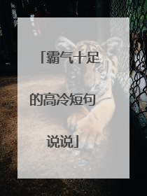 霸气十足的高冷短句说说