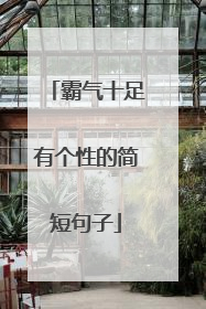 霸气十足有个性的简短句子