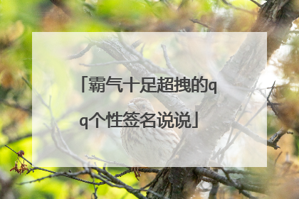 霸气十足超拽的qq个性签名说说