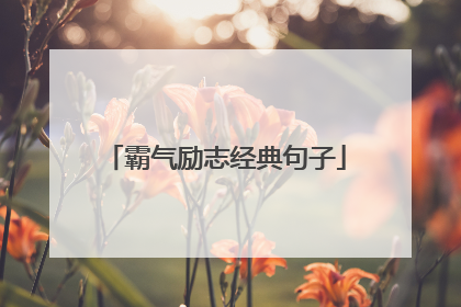 霸气励志经典句子