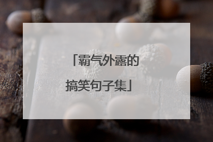 霸气外露的搞笑句子集