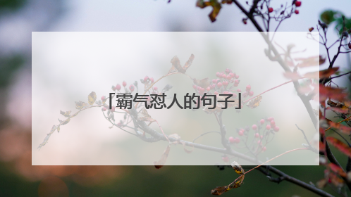 霸气怼人的句子