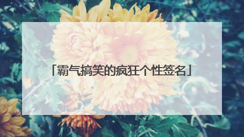 霸气搞笑的疯狂个性签名
