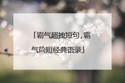 霸气超拽短句,霸气简短经典语录
