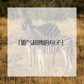 霸气超拽的句子