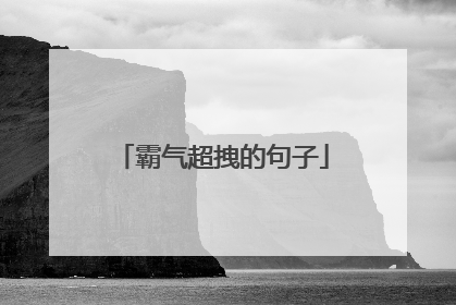 霸气超拽的句子