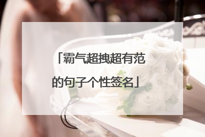 霸气超拽超有范的句子个性签名