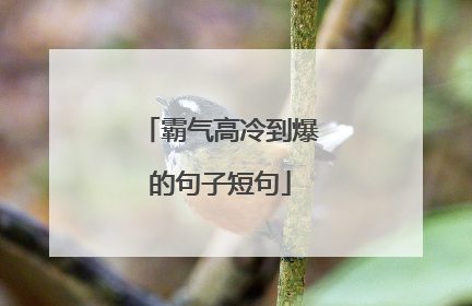 霸气高冷到爆的句子短句